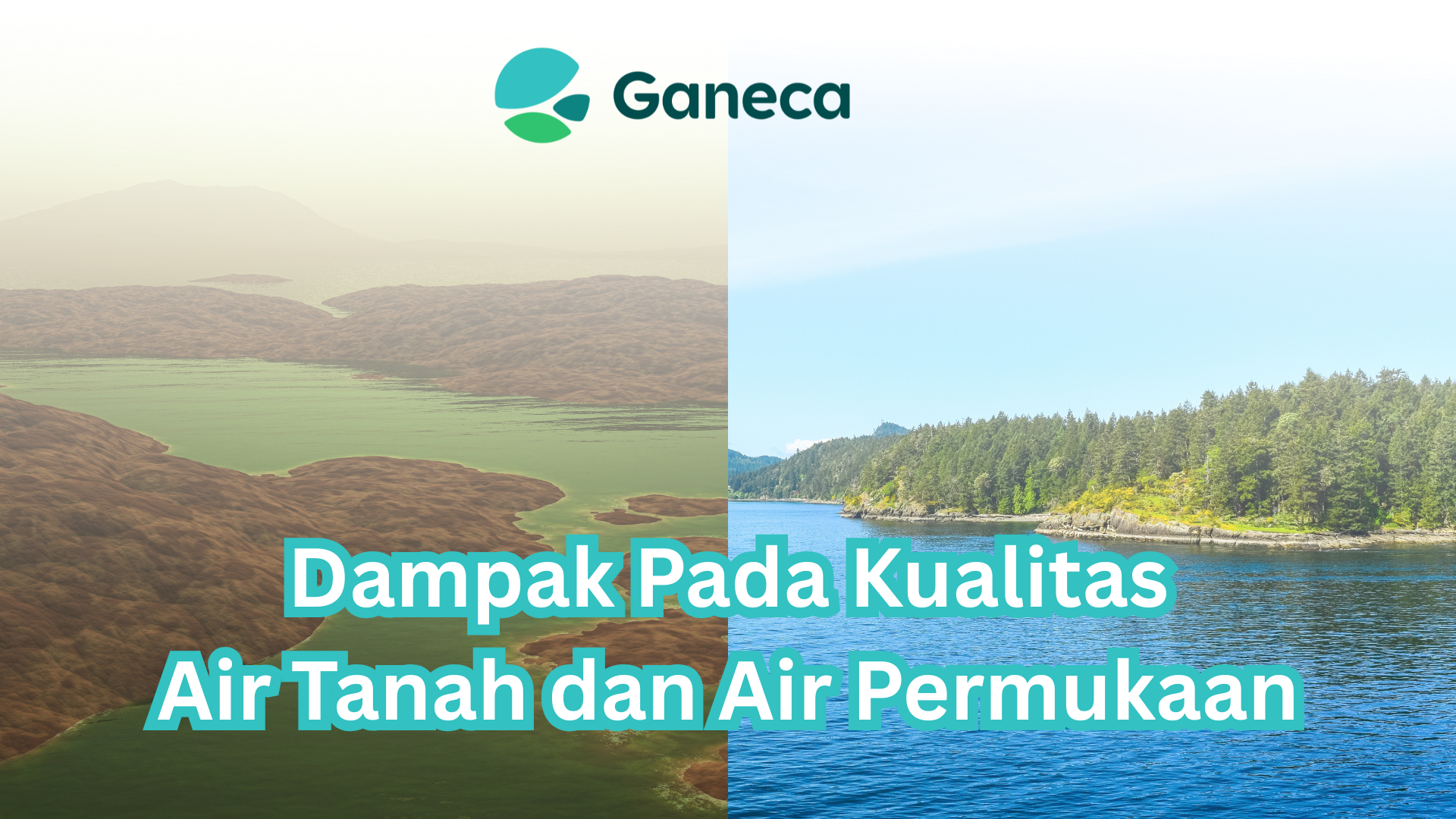 Mengungkap Perbedaan Air Tanah dan Air Permukaan: Dampaknya pada Kualitas